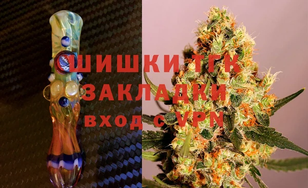 прущие грибы Абаза