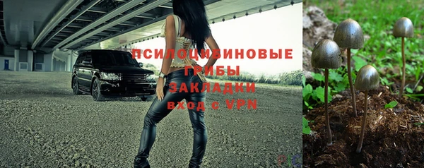 прущие грибы Абаза
