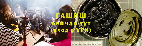 прущие грибы Абаза