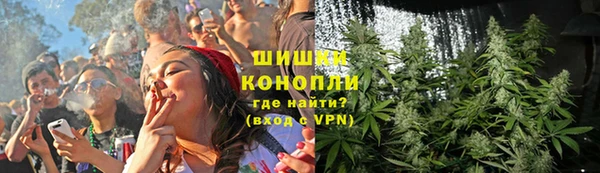 ГАЛЛЮЦИНОГЕННЫЕ ГРИБЫ Алзамай