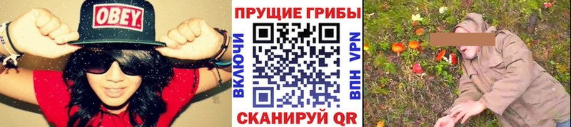 как найти закладки  Тула  Псилоцибиновые грибы GOLDEN TEACHER 