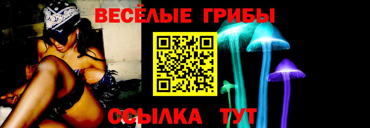 Галлюциногенные грибы Psilocybine cubensis Тула