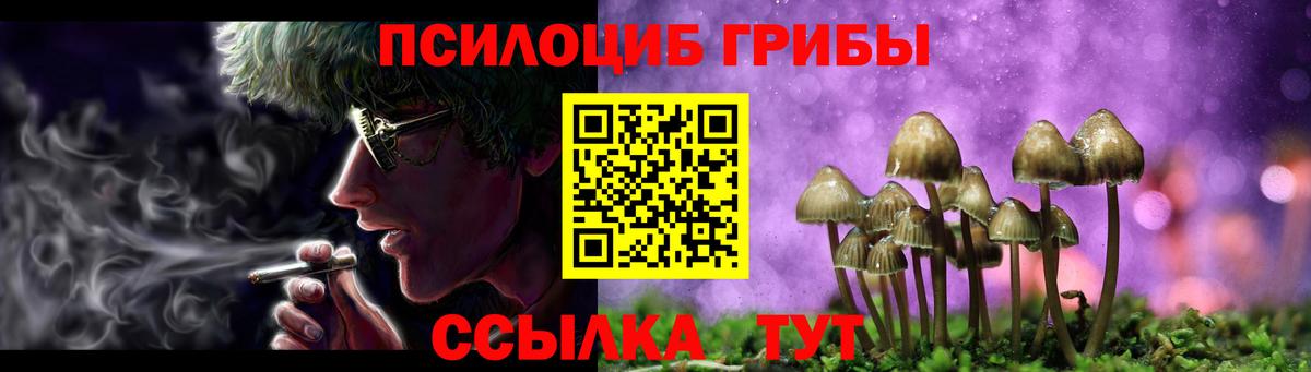 Псилоцибиновые грибы прущие грибы  Вход с VPN  Тула 